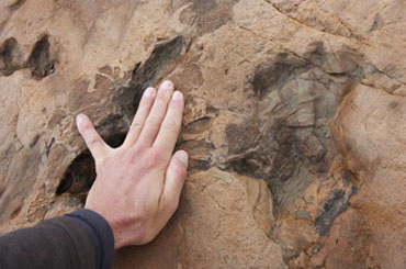 Traces des dinosaures, Vieux-Emosson